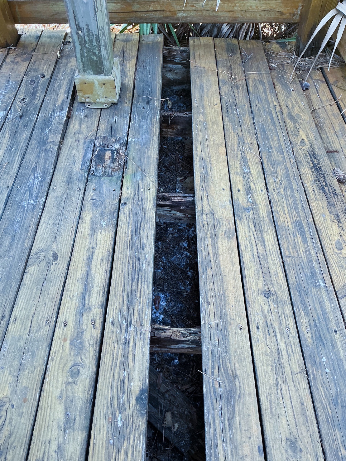 Pavilion deck rebuild
